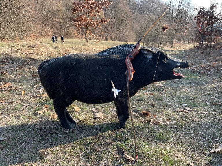 3D Wild Hunting
